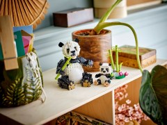 Wilde dieren: pandafamilie LEGO-set afbeelding 8