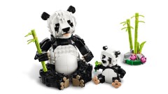 Wilde dieren: pandafamilie LEGO-set afbeelding 6