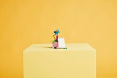 Typemachine met bloemen LEGO-set afbeelding 11