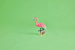 Wilde dieren: roze flamingo LEGO-set afbeelding 10