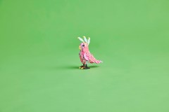 Wilde dieren: roze flamingo LEGO-set afbeelding 11