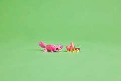 Wilde dieren: roze flamingo LEGO-set afbeelding 12