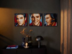 Elvis Presley – The King, zdjęcie 8
