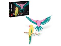 Macaw Parrots, zdjęcie 2