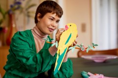 Macaw Parrots, zdjęcie 6