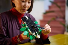 De Faunacollectie - Tijger LEGO-set afbeelding 6