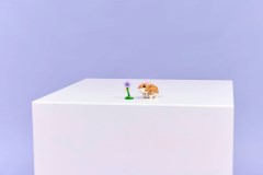 Schattige hamster met bloem LEGO-set afbeelding 10