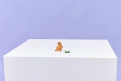 Schattige hamster met bloem LEGO-set afbeelding 12