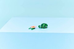 Schildpad met waterlelie LEGO-set afbeelding 9