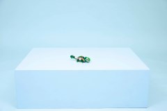 Schildpad met waterlelie LEGO-set afbeelding 10