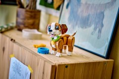 Schattige dieren: speelse puppy LEGO-set afbeelding 9