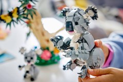 Wilde dieren: koalafamilie LEGO-set afbeelding 9