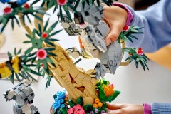 Wilde dieren: koalafamilie LEGO-set afbeelding 10