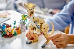Wilde dieren: koalafamilie LEGO-set afbeelding 11