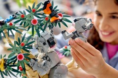 Wilde dieren: koalafamilie LEGO-set afbeelding 14