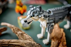 Bosdieren: grijze wolf LEGO-set afbeelding 16
