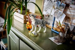 Bosdieren: grijze wolf LEGO-set afbeelding 17