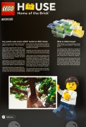 Tree of Creativity, zdjęcie 7