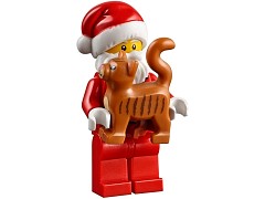 Конструктор LEGO (ЛЕГО) Seasonal 40125  Santa's Visit
