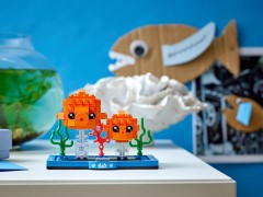 Goldfish and Fry, zdjęcie 4