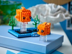 Goldfish and Fry, zdjęcie 5