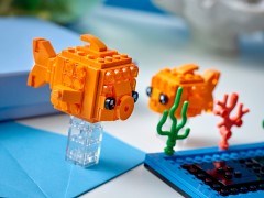 Goldfish and Fry, zdjęcie 6
