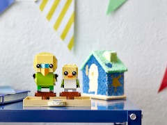 Budgie and Chick, zdjęcie 4