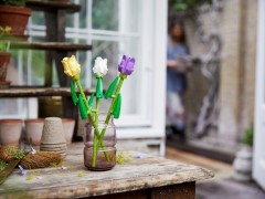 Tulips, zdjęcie 3