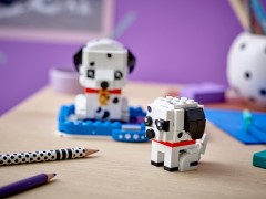Dalmatian and Puppy, zdjęcie 5