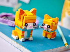 Ginger Tabby and Kitten, zdjęcie 6