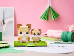 Hamster and Baby Hamster, zdjęcie 4