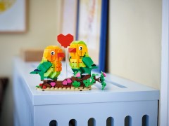 Valentine Lovebirds, zdjęcie 5