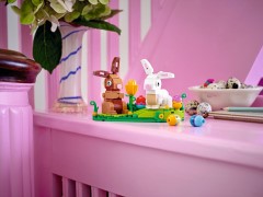 Easter Rabbits Display, zdjęcie 4