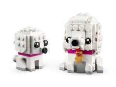 Poodle, zdjęcie 3
