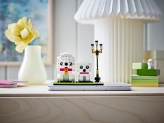 Poodle, zdjęcie 8