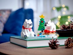 Wintertime Polar Bears, zdjęcie 4