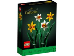 Daffodils, zdjęcie 2