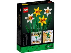 Daffodils, zdjęcie 3
