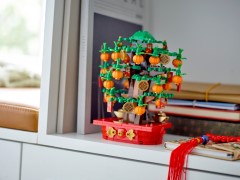 Money Tree, zdjęcie 3