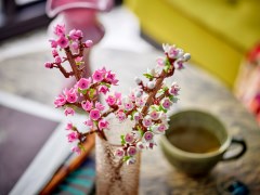 Kersenbloesems LEGO-set afbeelding 6