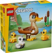 Duck Family, zdjęcie 2
