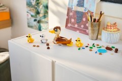 Duck Family, zdjęcie 4