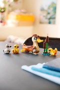 Duck Family, zdjęcie 7