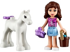 Конструктор LEGO (ЛЕГО) Friends 41003  Olivia's Newborn Foal