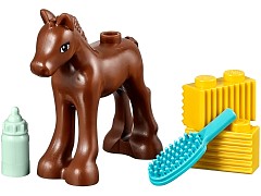 Конструктор LEGO (ЛЕГО) Friends 41089  Little Foal