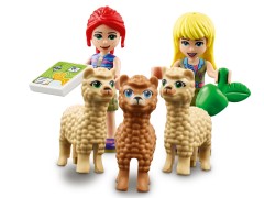 Alpaca Rescue in the Jungle, zdjęcie 10