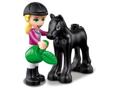 Horse Training and Trailer, zdjęcie 10