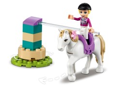 Horse Training and Trailer, zdjęcie 13