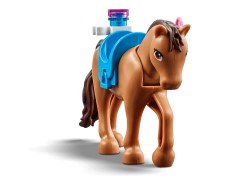 Heartlake City Vet Clinic, zdjęcie 15