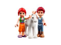 Pony-Washing Stable LEGO-set afbeelding 4